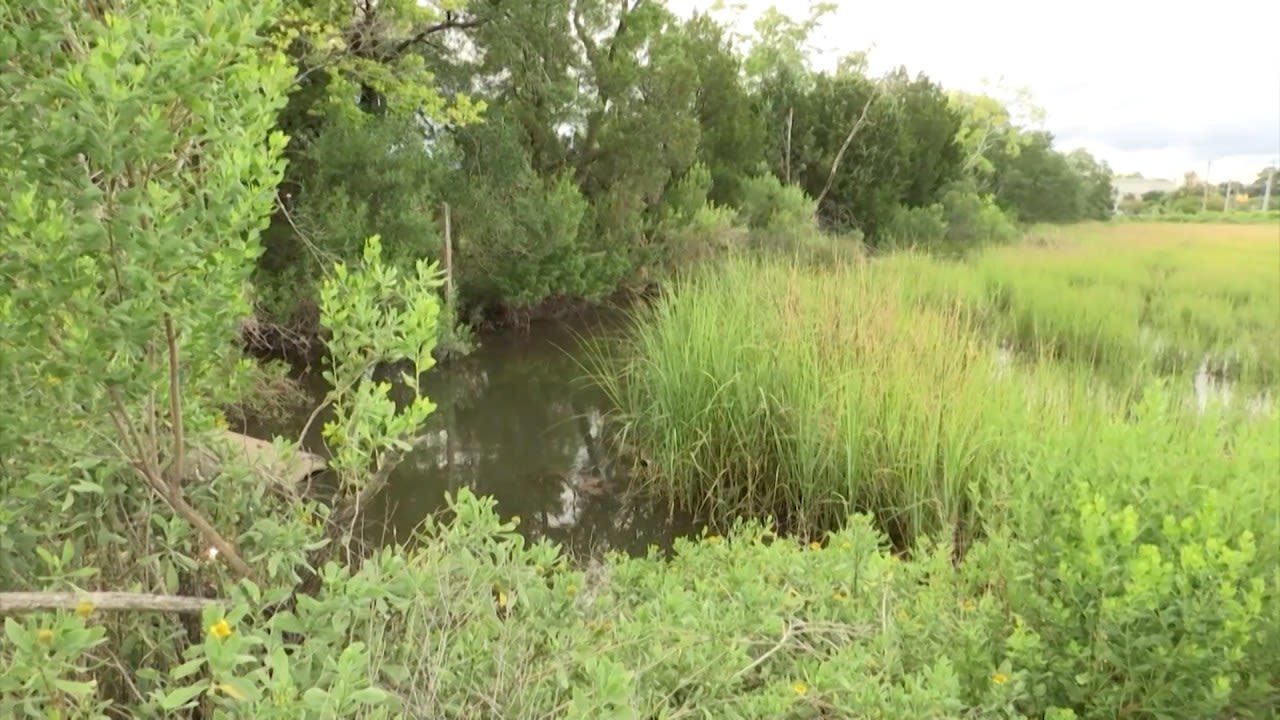 Fight to protect Gadsden Creek from development heads to South Carolina Supreme Court