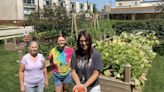 A vegetable garden grows at Saint Vincent Hospital, helps feed patients