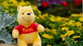 Winnie The Pooh-Themed Coin Soars 46% As Memecoins Continue To Soar Despite Bearishness Seen In Bigger Cryptos...