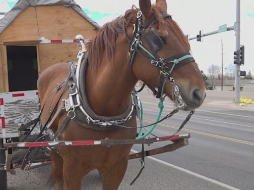 Man traveling across country on his horse-drawn carriage for 5th time