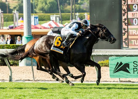 Anisette Wins Gamely Stakes in Her 4-Year-old Debut