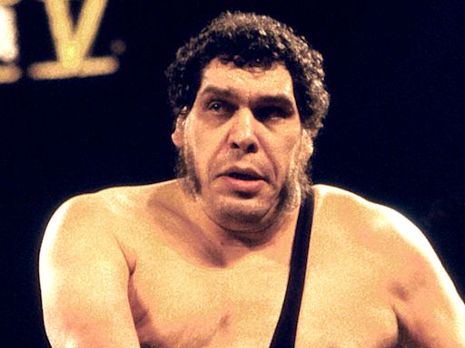 Larry Zbyszko Recalls Andre The Giant Getting Revenge For Ribbing Him - Wrestling Inc.