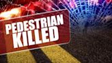 Pedestrian Killed in Avoyelles Parish Hit and Run Crash