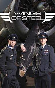 Wings of Steel