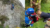 Puppy miraculously survives plunge off 200ft cliff edge