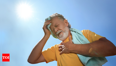 What is heat stroke actually and basic things that can prevent it - Times of India