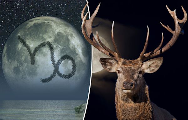 July 2024’s Full Buck Moon in Capricorn will illuminate your limitations