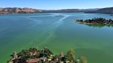 California pet owners warned after toxic substance found in lake
