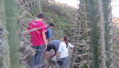 Investigadores de la UCM desarrollan un proyecto de restauración ecológica en bosques amenazados de Perú