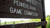PA Game Commission head resigns after ‘business relationships’ revealed