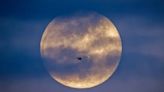 La Luna alcanza su apogeo este viernes: por qué sucede y cómo se verá en el cielo - Diario Río Negro