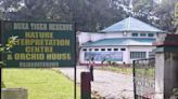 New trend: Tourists flock to Dooars during rains despite the core areas of reserve forests being closed