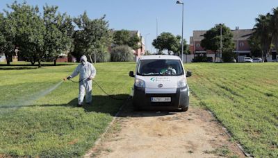 Los once municipios afectados por las plagas de mosquitos en Sevilla piden una reunión urgente con la Junta