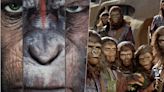 Planeta dos Macacos: veja a ordem correta para assistir aos filmes