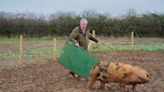 Clarkson's farm: CHRISTOPHER STEVENS reviews the weekend's TV