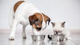 Purina refutes "online rumors," says pet food safe for dogs and cats