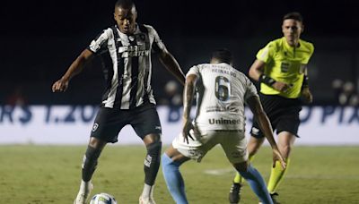 Botafogo e Grêmio cogitam se enfrentar em campo neutro nas duas partidas pelo Brasileirão | Botafogo | O Dia