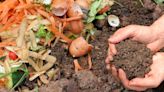 10 surprising ingredients you can add to your compost heap – according to a garden expert
