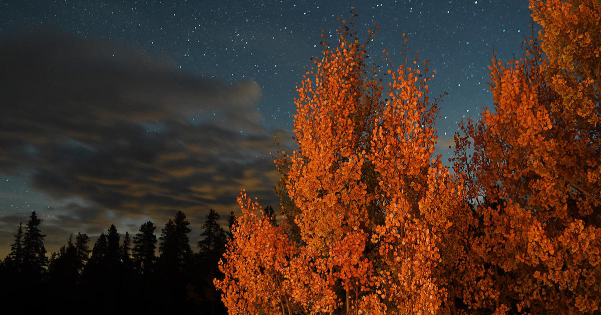 Colorado fall foliage forecast 2024