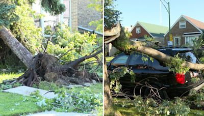 Tormentas y fuertes vientos causan destrozos en estos vecindarios de Chicago