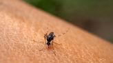 New study warns Zika virus may now spread much quicker due to an alarming factor: ‘Health agencies need to be prepared’