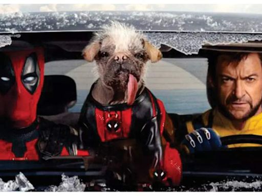 Deadpool And Wolverine box office report: Ryan Reynolds and Hugh Jackman starrer records HIGHEST advance booking of 2024 with Rs 4.46 crore collection for Day 1 | - Times of India