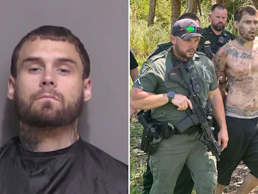 Escaped Florida felon who allegedly faked injury screams in agony as K-9 drags him from hiding spot in woods