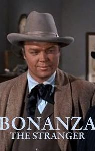 Bonanza: The Avenger