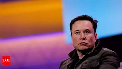 Elon Musk responds to Chinese girl who wants him to fix a bug in Tesla screen: Watch - Times of India