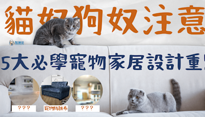 【Pet-Friendly家居設計】貓奴狗奴注意！5大必知寵物家居設計重點！