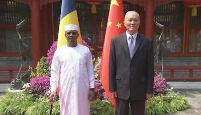 Senior CPC official meets Chadian president