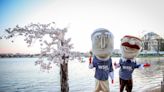 Washington Nationals’ George, Teddy bid farewell to Stumpy