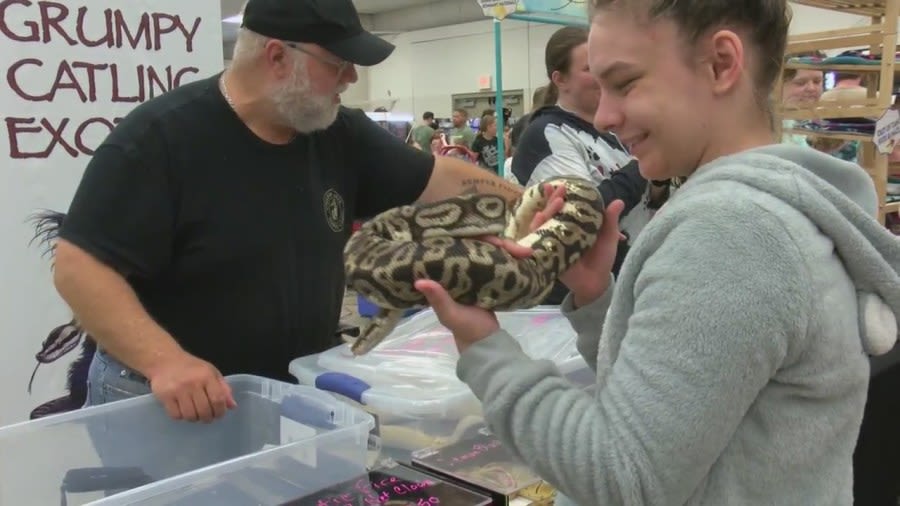 Hundreds gather for “Scale Up” Reptile Expo in Fond du Lac