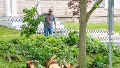 Monroe County, Bloomington have stopped taking debris pickup requests