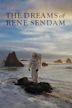 The Dreams of Rene Sendam