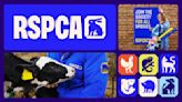 Behind the RSPCA's 50-year rebrand