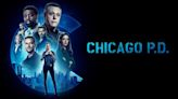 Will There Be a Chicago P.D. Season 12 Release Date & Is It Coming Out?