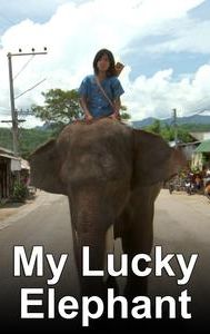 My Lucky Elephant