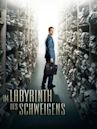 Im Labyrinth des Schweigens