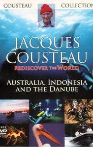 Jacques Cousteau: Rediscover the World II