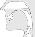 Voiceless palatal plosive