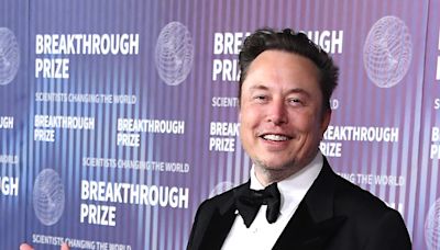 Elon Musk & Ex Grimes' Son X Appears in Rare Photo on 4th Birthday