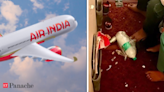 Netizens says ‘Hum Nahi Sudhrenge’ after Air India’s littered cabin image goes viral