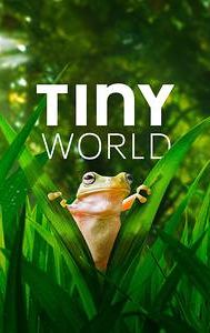 Tiny World