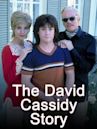 The David Cassidy Story