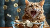 Microsoft India’s X account hijacked in Roaring Kitty crypto scam