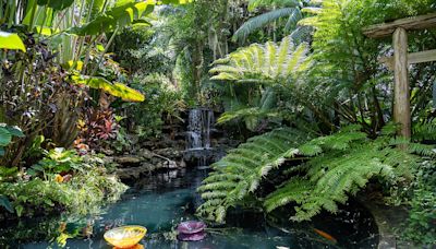 Selby Botanical Gardens named one of 'World's Greatest Places' | Your Observer