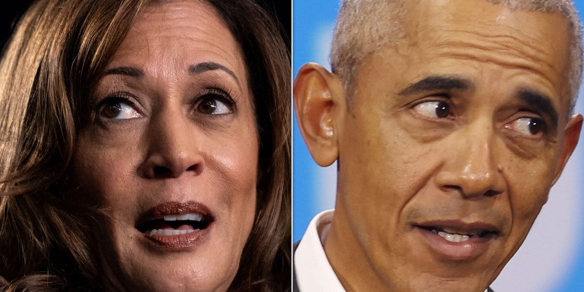Fox Business Guest Accuses Media Of Trying To ‘Sell’ Kamala Harris As ‘Obama In A Skirt’