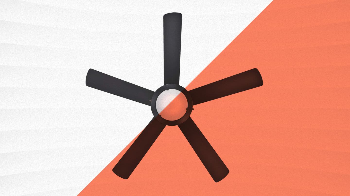 Cool Down Your Space From Above With These Editor-Recommended Ceiling Fans