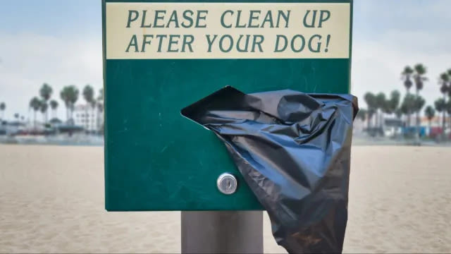 New Bill Will Bring Poop Bag Dispensers to New York Streets